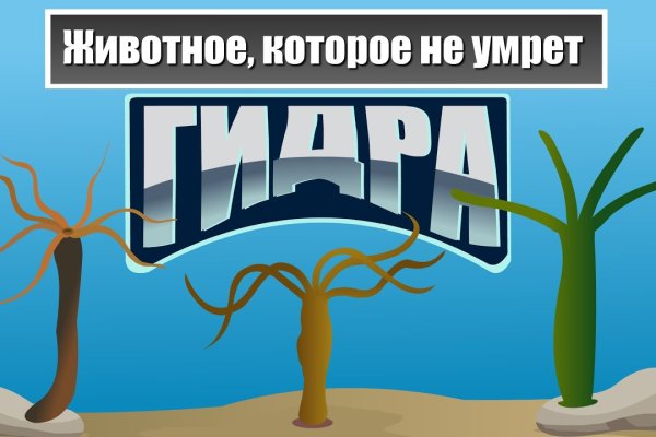 Ссылки даркнета